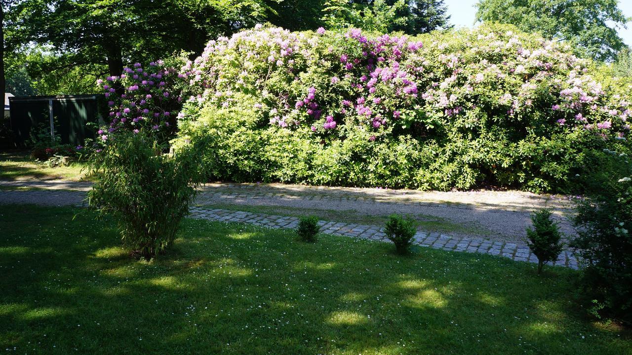 Exklusive Ferienwohnung Zwischen Uni Und Altstadt Λούνεμπουργκ Εξωτερικό φωτογραφία